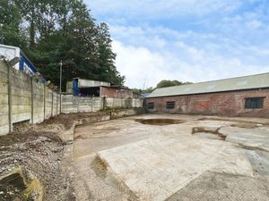 Yard- click for photo gallery